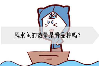 风水鱼的数量是看品种吗？怎么饲养风水鱼？