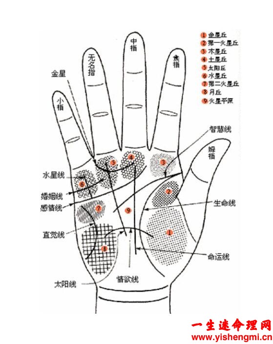 太阳线分叉图解手相